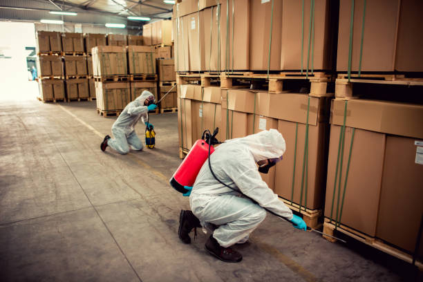 Best Cockroach Control Services  in Sherwood, OH