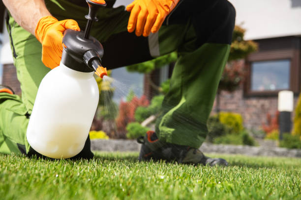 Professional Pest Control in Sherwood, OH