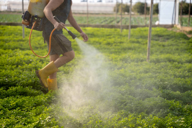 Best Local Pest Control Services  in Sherwood, OH