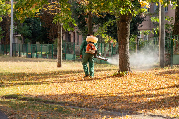 Wasp Removal Services in Sherwood, OH